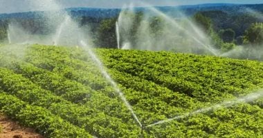 A startup uses artificial intelligence to reduce water consumption and increase crops