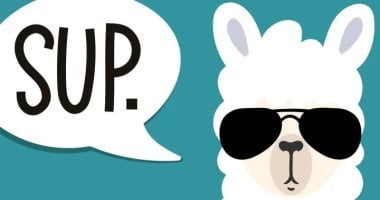 Meta Llama.. Everything You Need to Know About the Open Generative AI Model